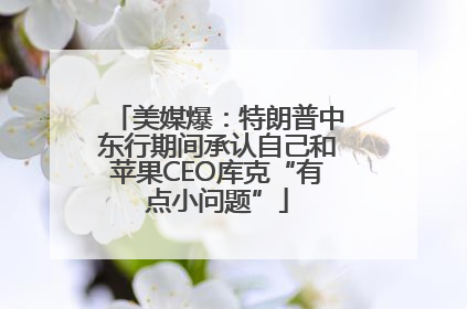 美媒爆：特朗普中东行期间承认自己和苹果CEO库克“有点小问题”