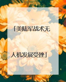 美陆军战术无人机发展受挫