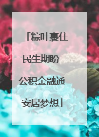 粽叶裹住民生期盼 公积金融通安居梦想