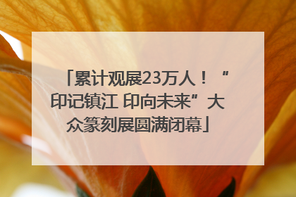 累计观展23万人！“印记镇江 印向未来”大众篆刻展圆满闭幕