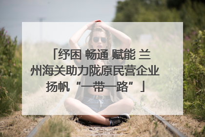 纾困 畅通 赋能 兰州海关助力陇原民营企业扬帆“一带一路”