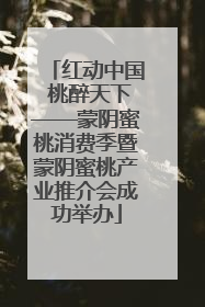 红动中国 桃醉天下——蒙阴蜜桃消费季暨蒙阴蜜桃产业推介会成功举办