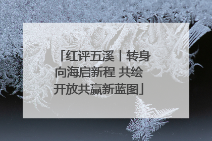 红评五溪丨转身向海启新程 共绘开放共赢新蓝图