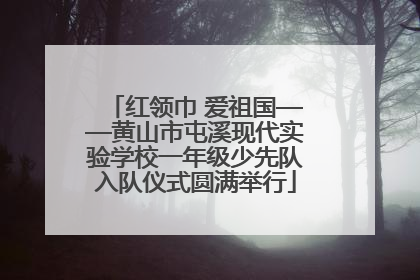红领巾 爱祖国——黄山市屯溪现代实验学校一年级少先队入队仪式圆满举行