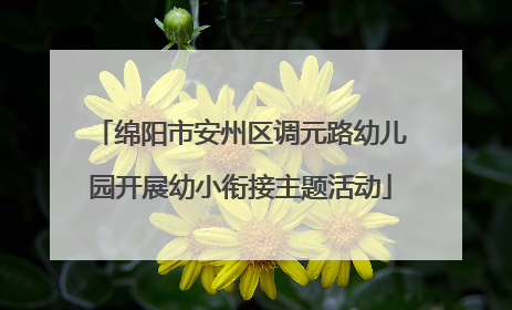 绵阳市安州区调元路幼儿园开展幼小衔接主题活动