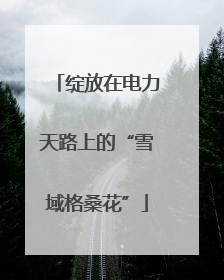绽放在电力天路上的“雪域格桑花”