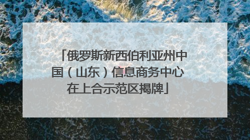 俄罗斯新西伯利亚州中国（山东）信息商务中心在上合示范区揭牌