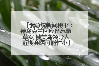 俄总统新闻秘书：待乌克兰回应备忘录草案 俄美乌领导人近期会晤可能性小