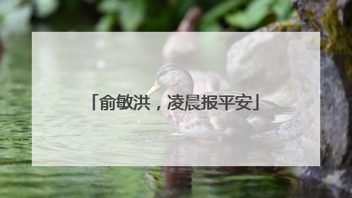 俞敏洪，凌晨报平安
