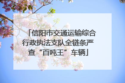 信阳市交通运输综合行政执法支队全链条严查“百吨王”车辆