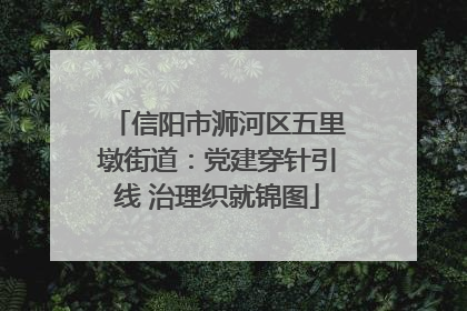 信阳市浉河区五里墩街道：党建穿针引线 治理织就锦图