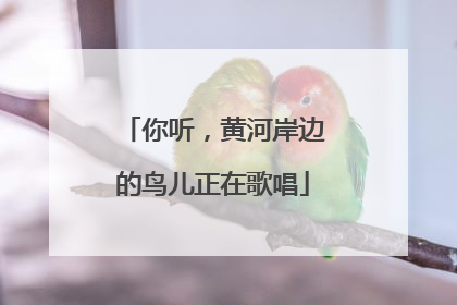 你听，黄河岸边的鸟儿正在歌唱