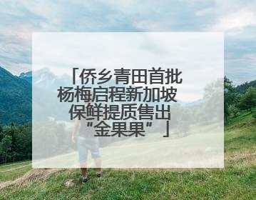 侨乡青田首批杨梅启程新加坡 保鲜提质售出“金果果”