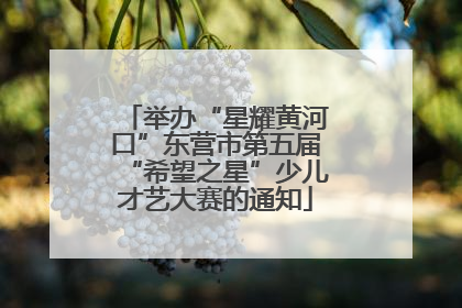 举办“星耀黄河口”东营市第五届“希望之星”少儿才艺大赛的通知