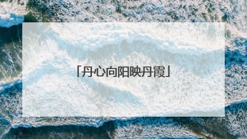 丹心向阳映丹霞