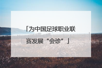 为中国足球职业联赛发展“会诊”