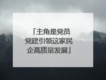 主角是党员 党建引领这家民企高质量发展