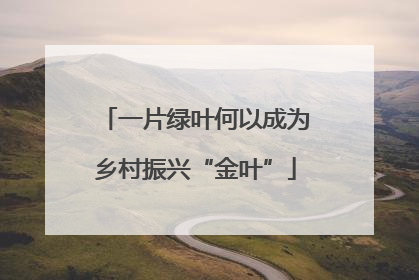 一片绿叶何以成为乡村振兴“金叶”