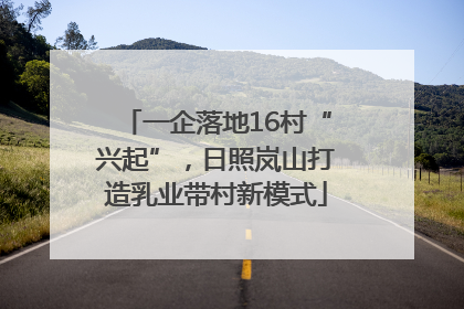 一企落地16村“兴起”，日照岚山打造乳业带村新模式
