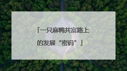 一只麻鸭共富路上的发展“密码”