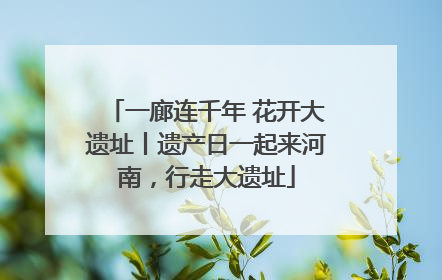 一廊连千年 花开大遗址丨遗产日一起来河南，行走大遗址