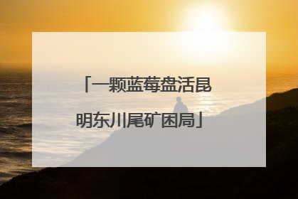 一颗蓝莓盘活昆明东川尾矿困局