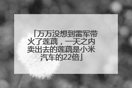 万万没想到雷军带火了莲藕，一天之内卖出去的莲藕是小米汽车的22倍