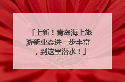 上新！青岛海上旅游新业态进一步丰富，到这里潜水！