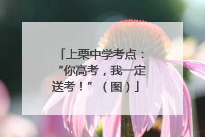 上栗中学考点：“你高考，我一定送考！”（图）