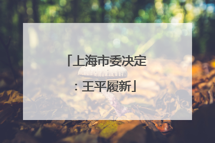 上海市委决定：王平履新