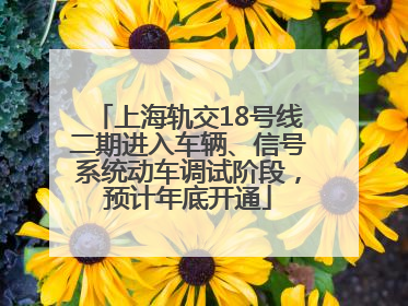 上海轨交18号线二期进入车辆、信号系统动车调试阶段，预计年底开通