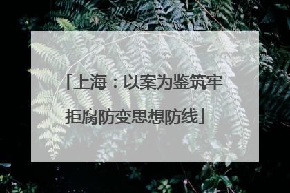 上海：以案为鉴筑牢拒腐防变思想防线