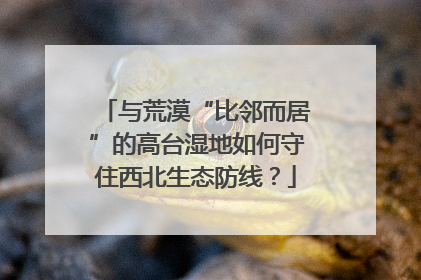 与荒漠“比邻而居”的高台湿地如何守住西北生态防线？