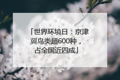 世界环境日：京津冀鸟类超600种，占全国近四成