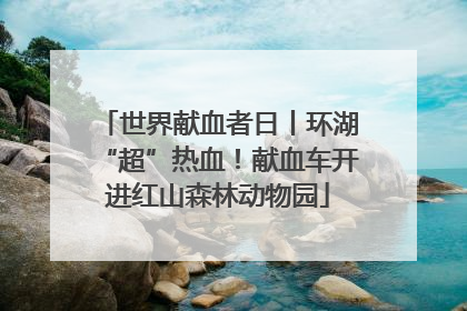 世界献血者日丨环湖“超”热血！献血车开进红山森林动物园