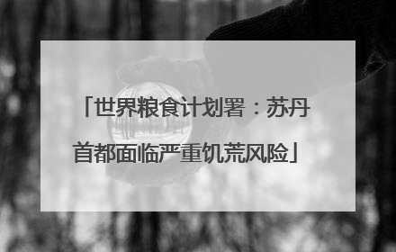 世界粮食计划署：苏丹首都面临严重饥荒风险