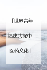 世界青年福建共探中医药文化