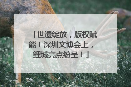 世遗绽放，版权赋能！深圳文博会上，鲤城亮点纷呈！