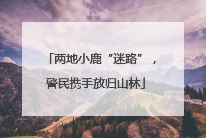 两地小鹿“迷路”，警民携手放归山林