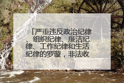 严重违反政治纪律、组织纪律、廉洁纪律、工作纪律和生活纪律的罗璇，非法收受他人巨额财物