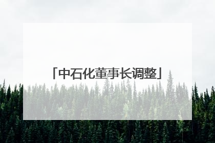 中石化董事长调整
