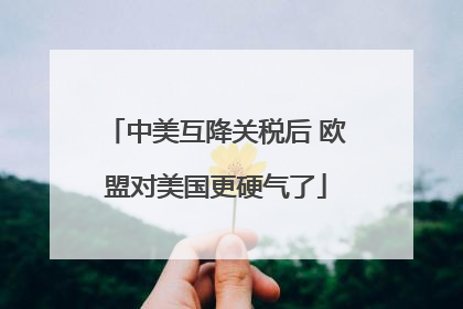 中美互降关税后 欧盟对美国更硬气了