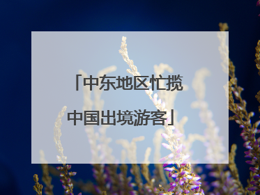 中东地区忙揽中国出境游客