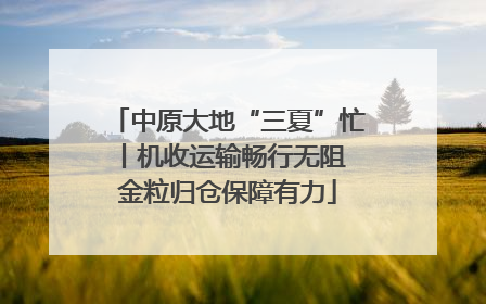 中原大地“三夏”忙丨机收运输畅行无阻 金粒归仓保障有力