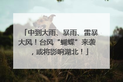 中到大雨、暴雨、雷暴大风！台风“蝴蝶”来袭，或将影响湖北！