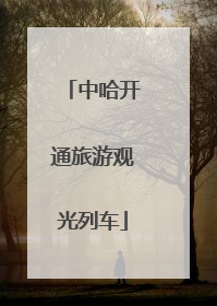 中哈开通旅游观光列车