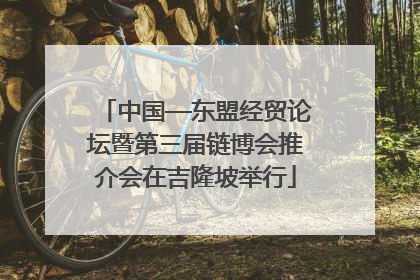 中国—东盟经贸论坛暨第三届链博会推介会在吉隆坡举行