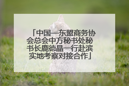中国—东盟商务协会总会中方秘书处秘书长鹿德晶一行赴滨实地考察对接合作