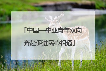 中国—中亚青年双向奔赴促进民心相通