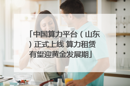 中国算力平台（山东）正式上线 算力租赁有望迎黄金发展期